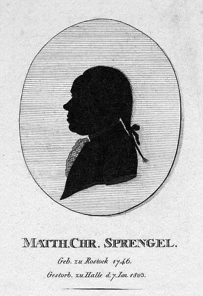 MATTHIAS SPRENGEL (1746-1803). Matthias Christian Sprengel, German philosopher and historian. Early 19th century silhouette