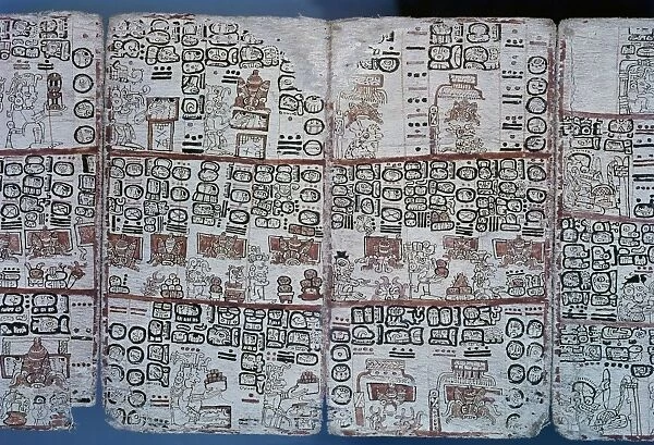 MAYAN CODEX, 16TH CENTURY. Detail from the 16th century Madrid Codex, or Codex Tro-Cortesiano