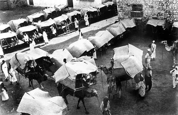 MECCA: PILGRIMS, c1910. Camels and tents of pilgrims in Mecca, Saudi Arabia. Photograph