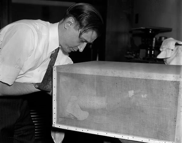 MEDICAL RESEARCH, 1937. Carroll Smith, a researcher with the of the Bureau of Entomology