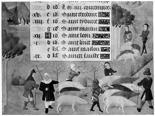 MEDIEVAL HERDSMEN. Herdsmen driving pigs. Medieval French manuscript illumination