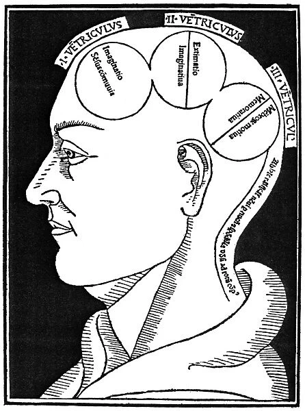Memory in the third ventricle of the brain as described by the 13th century German scholastic, Albertus Magnus, in his Philosophia naturalis, and illustrated in a 1490 edition of that work