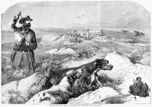 Men hunting grouse. Engraving after a drawing by Harrison Weir, English, 1860