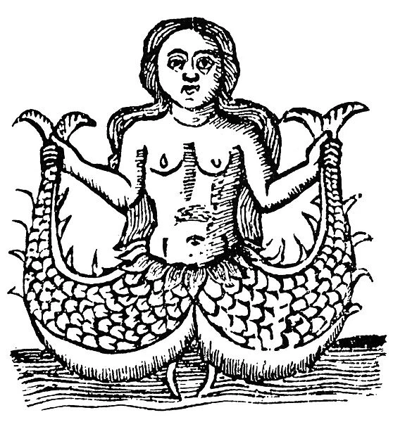 MERMAID, 1520. A double-tailed mermaid. Woodcut, Spanish, 1520