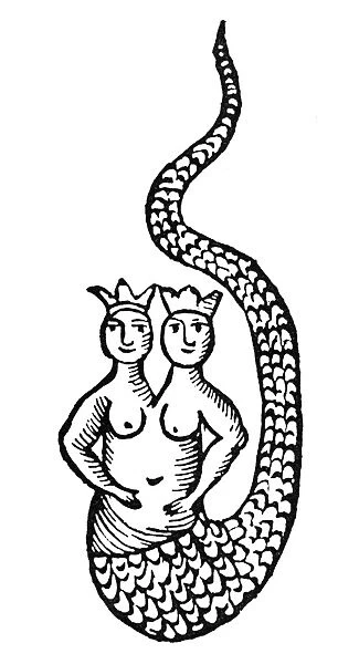 MERMAID, 1760. The mermaid Melusine. Woodcut from Abraham Eleazars Uraltes Chymisches Werk