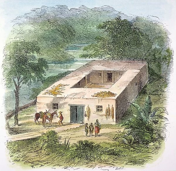 MEXICO: ADOBE HOUSE. A typical adobe house in Mexico. 19th century wood engraving