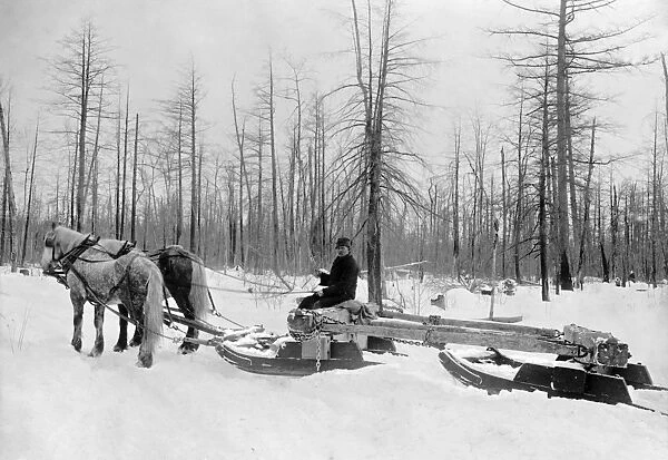 MICHIGAN: LUMBERING. A lumberjack logging with horsedrawn sled during the winter in Michigan