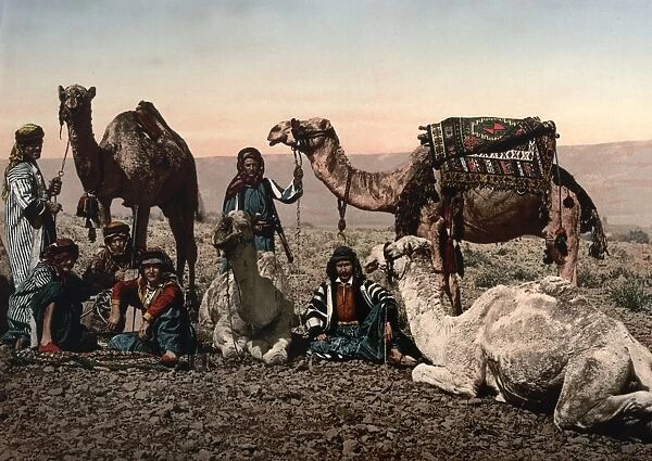 MIDDLE EAST: TRAVELERS. A group of travelers and their camels resting in the desert. Photochrome, c1895