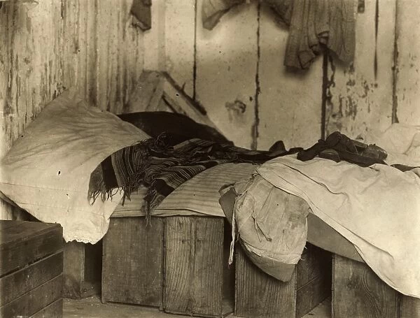 MIGRANT SHACK, 1910. The sleeping area of a small shack on Forsythes Bog, occupied