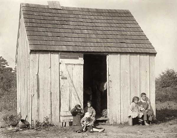 MIGRANT SHACK, 1910. Small shack on Forsythes Bog, occupied by De Marco family