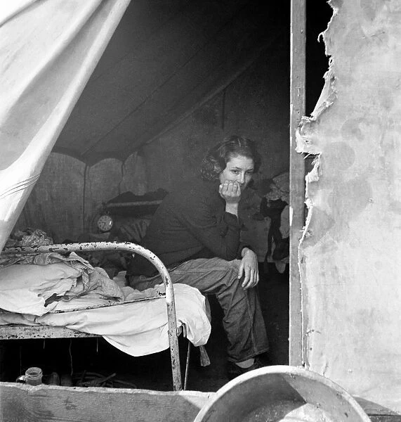 MIGRANT WORKER, 1936. Daughter of a migrant coal miner, living in the American River Camp near Sacramento, California. Photograph by Dorothea Lange, November 1936