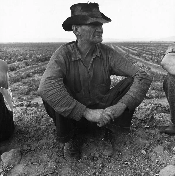 MIGRANT WORKER, 1937. An ex-tenant farmer sitting on the ground of a farm near Holtville