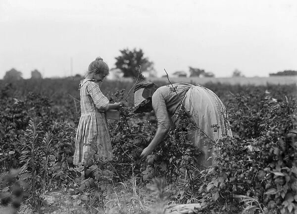 MIGRANT WORKERS, 1909. A Polish girl and her mother, migrant berry pickers, at