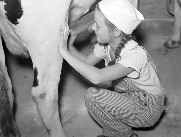MILKING A COW, 1938. A young girl milking a cow on a farm in Kansas. Photograph by John Vachon