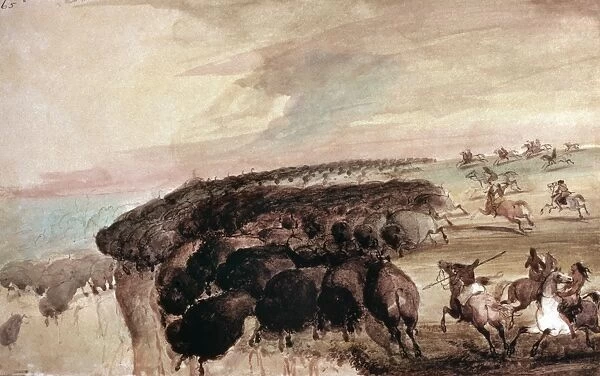 MILLER: BUFFALO HUNT. Native American hunters of the Great Plains driving herds