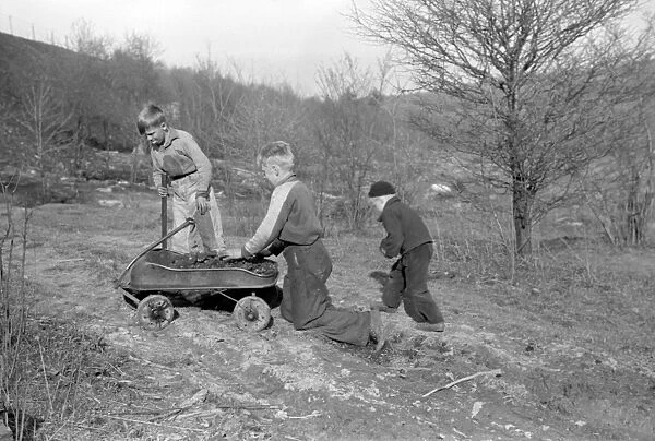MINER STRIKE, 1939. Miners sons bringing home coal which they salvaged from a