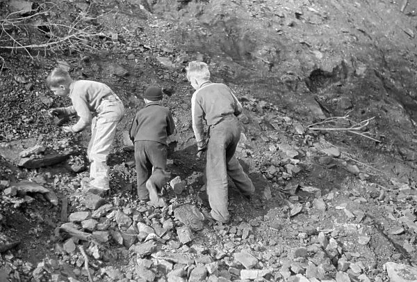 MINER STRIKE, 1939. Miners sons collecting coal from the slag pile during a coal