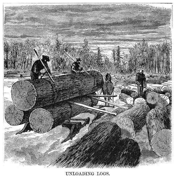MINNESOTA: LOGGING, 1870. Lumberjacks unloading logs from a sled, in Minnesota