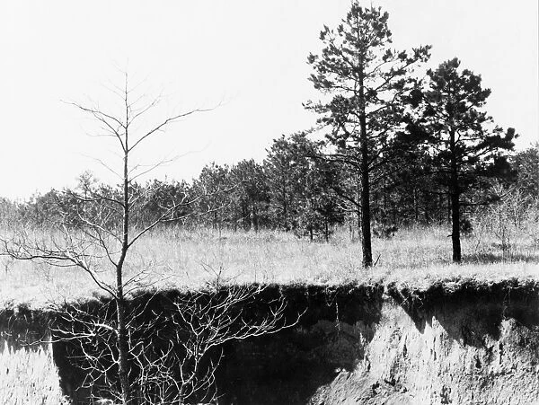 MISSISSIPPI: EROSION, 1936. Eroded farmland near Oxford, Mississippi