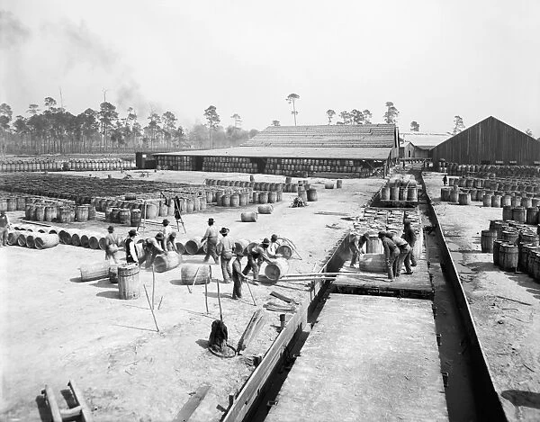 MISSISSIPPI: NAVY YARD, c1905. Men working at a naval supply yard in Gulfport, Mississippi