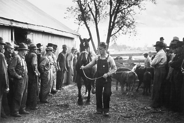 MISSOURI: FARM SALE, 1939. Horse is paraded before prospective buyers at a farm
