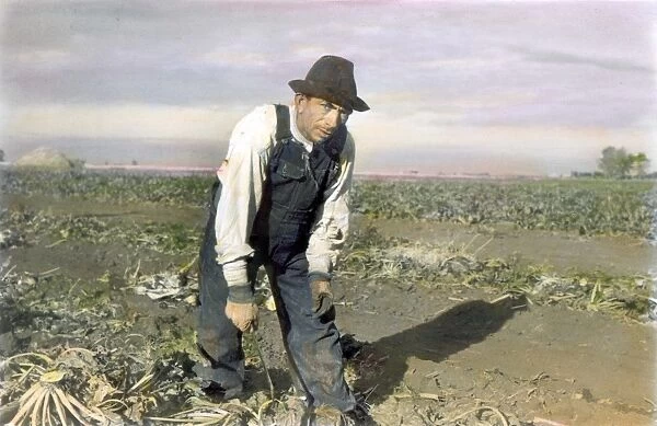 MN: MEXICAN WORKER, 1937. A Mexican sugar beet worker near Fisher, Minnesota