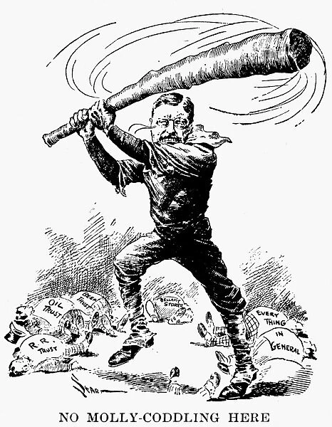 No Molly-Coddling Here. President Theodore Roosevelt swinging away his Big Stick at the trusts and Every Thing in General. American cartoon, 1904