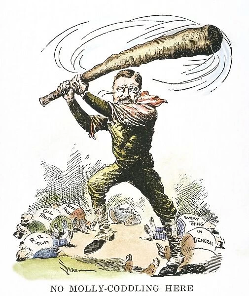 No Molly-Coddling Here : President Theodore Roosevelt swinging away his Big Stick at the trusts and Every Thing in General : American cartoon, 1904