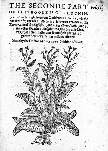 MONARDES: HERBAL, 1596. Title page of the second part of Joyful News Out of the Newe-Founde World, the 1596 English edition of Nicolas Monardes book, published in Seville, 1574