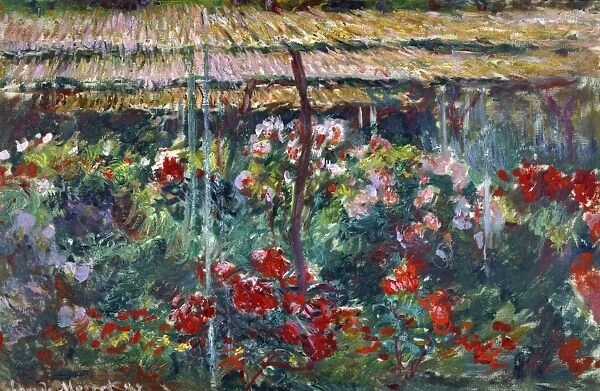 MONET: PEONY GARDEN, 1887. Oil on canvas, Claude Monet, 1887