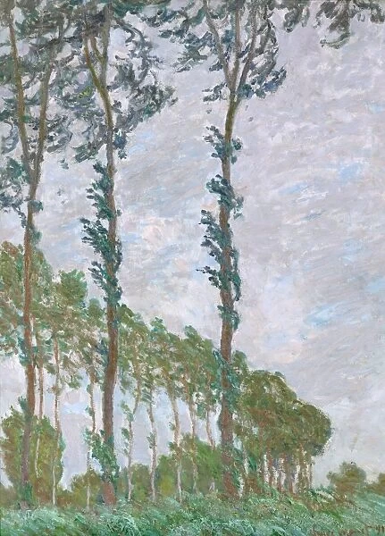 MONET: POPLARS, 1891. Wind Effect, Series of the Poplars. Oil on canvas, Claude Monet