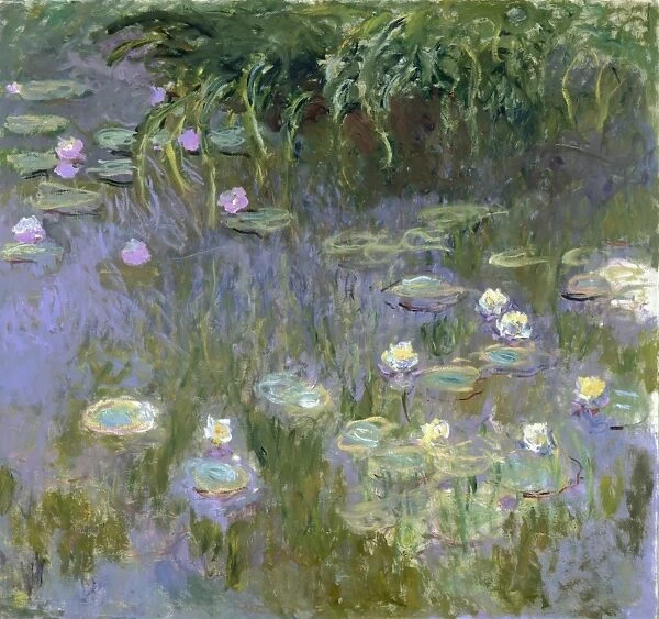 MONET: WATER LILIES, C1915. Oil on canvas, Claude Monet, c1915