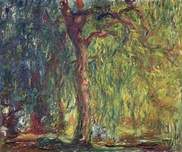 MONET: WEEPING WILLOW. Oil on canvas, Claude Monet, c1918