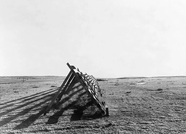 MONTANA: DROUGHT, 1936. Dry farmland in eastern Montana. Photograph by Arthur Rothstein