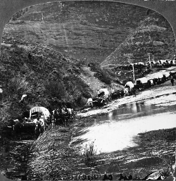 MORMON WAGON TRAIN, 1879. A Mormon wagon train on its way to Utah. Photographed by C