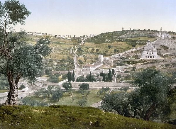 MOUNT OF OLIVES, c1900. View of the Garden of Gethsemane and the Mount of Olives, with the Russian Orthodox Church of Saint Mary Magdalene (right), East Jerusalem. Photochrome, c1900