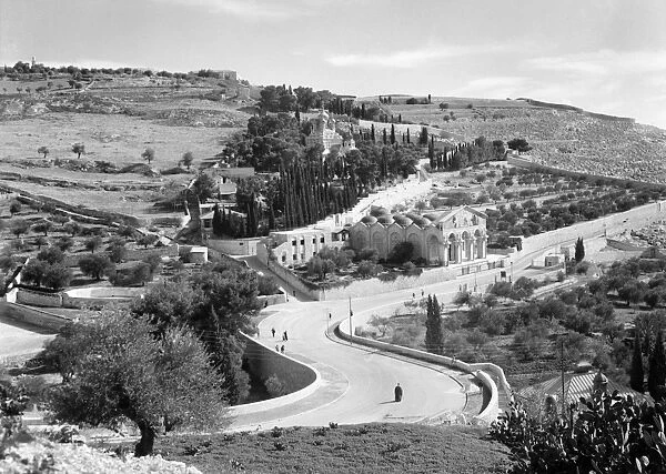 MOUNT OF OLIVES, c1942. View of the Garden of Gethsemane and the Mount of Olives