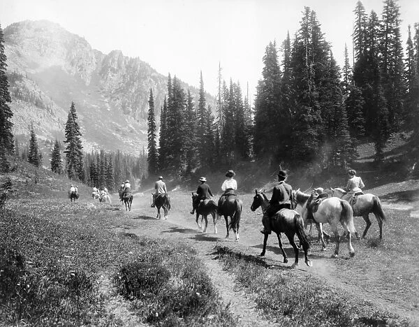 MOUNT RAINIER NATIONAL PARK. Horseback riders on the trail of Indian Henrys in
