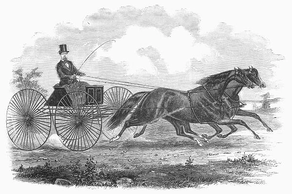 Mr. Palmers celebrated team of horses, Lady Palmer and Flatbush Maid. Wood engraving, 1862