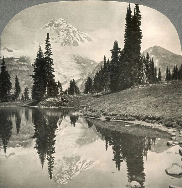 MT. RAINIER, c1920. Viewed from the shore of Mirror Lake. Photograph, c1920
