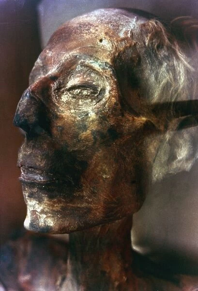 Mummified head of King Ramses II of Egypt