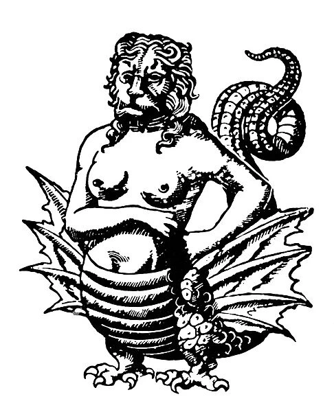 MYTHOLOGY: HARPIES. Woodcut of a harpy from a 16th century German bestiary