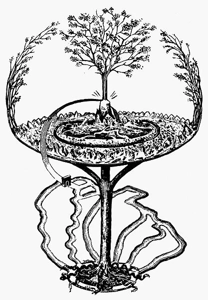 MYTHOLOGY: YGGDRASILL. The evergreen ash tree that overshadows the whole universe in Nordic-Germanic mythoogy. Line engraving from Finn Magnusens Eddalaeren, Copenhagen, Denmark, 1824
