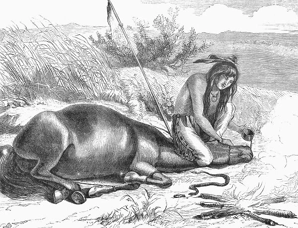A Native American curing his horse of a rattlesnake bite. Line engraving, 19th century