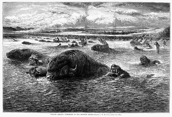 NATIVE AMERICAN HUNTING BUFFALOES. Indians Killing Buffaloes in the Missouri River. Wood engraving, American, 1874, after William de la Montagne Cary