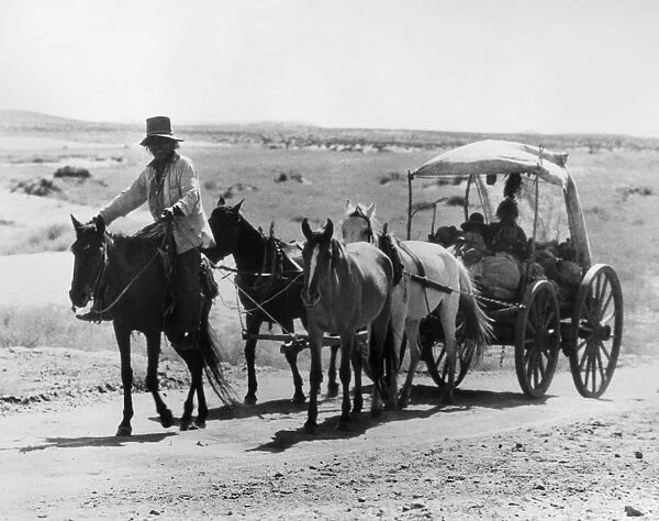 NAVAJO CARRIAGE. A Navajo man leading a horse-drawn carriage on a reservation in