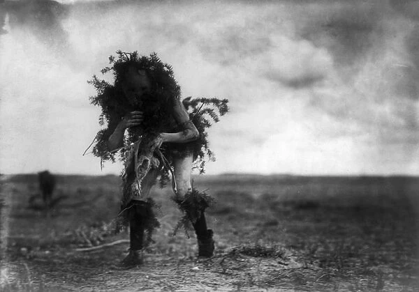 NAVAJO DANCER, c1905. A Navajo man dressed in spruce branches as the deity Tonenili the water sprinkler, during the Yeibichai, a ceremonial dance. Photograph by Edward Curtis, c1905