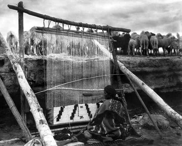 NAVAJO WEAVER, c1915. A Navajo woman weaving a blanket on a loom, with a herd of sheep in the background. Photograph, c1915