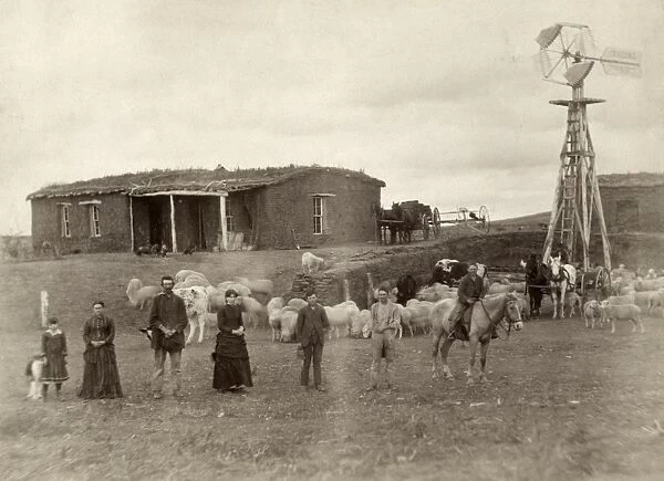 NEBRASKA: FARM, c1886. Family of homesteaders, photographed with their animals