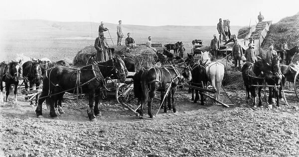 NEBRASKA: THRESHING, 1886. A horse-powered threshing outfit in Custer County, Nebraska